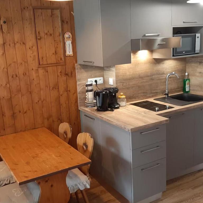 Grand Studio 25 m2, lumineux, central, vue Mont-Blanc - Appartement Classique - 4
