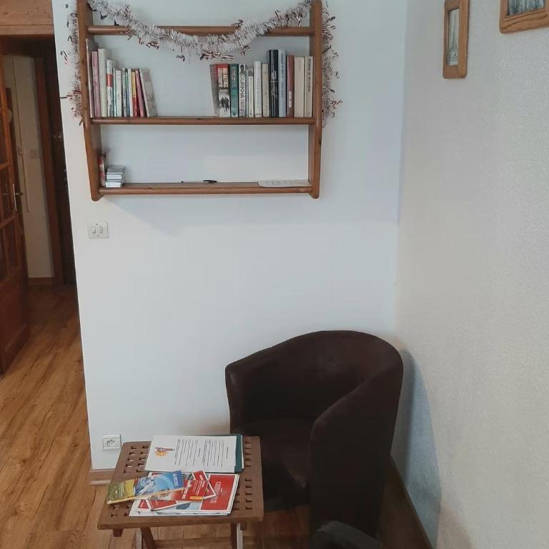 Grand Studio 25 m2, lumineux, central, vue Mont-Blanc - Appartement Classique - 9
