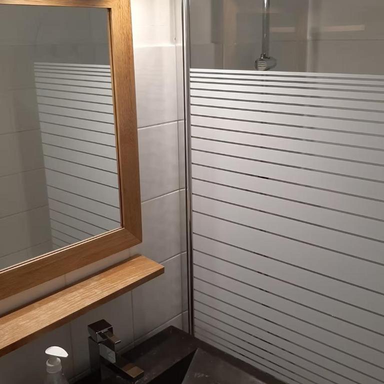 Grand Studio 25 m2, lumineux, central, vue Mont-Blanc - Appartement Classique - 8