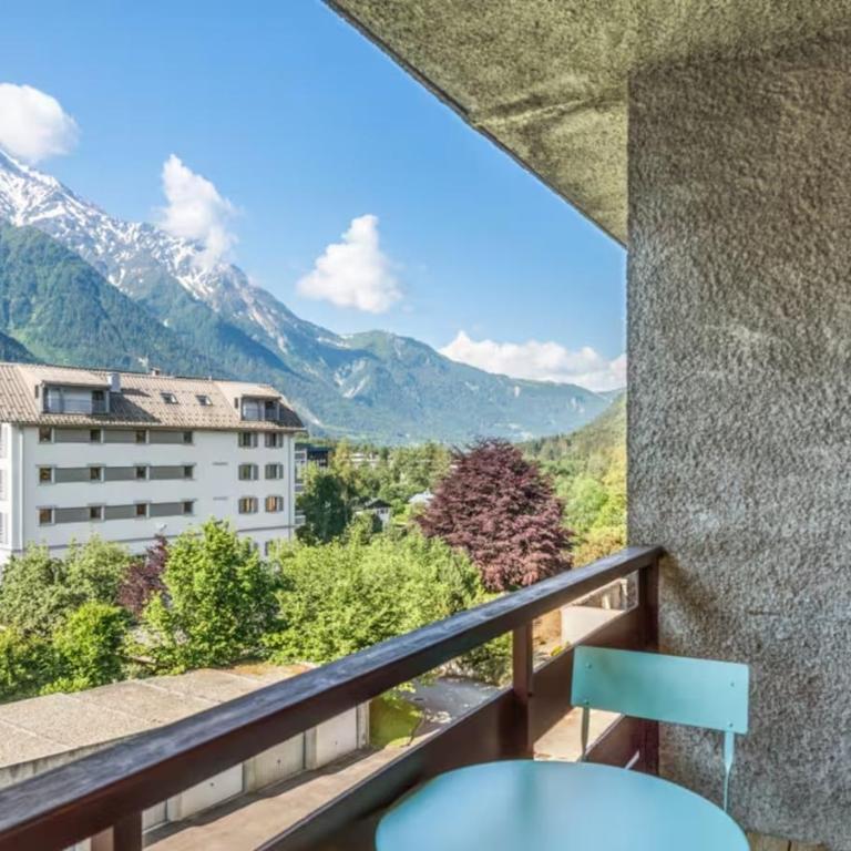 Grand Studio 25 m2, lumineux, central, vue Mont-Blanc - Appartement Classique - 12
