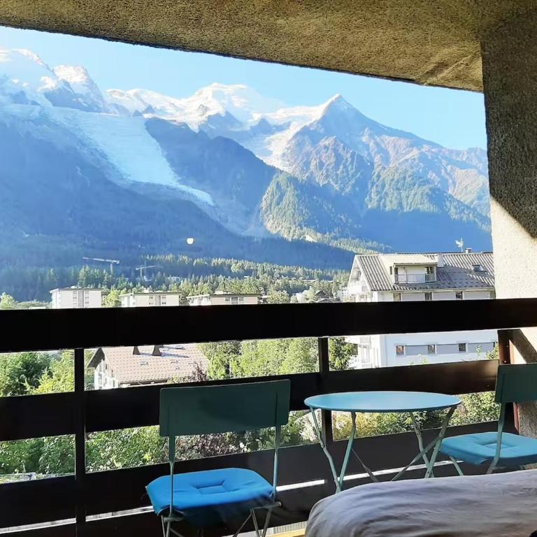 Grand Studio 25 m2, lumineux, central, vue Mont-Blanc - Appartement Classique - 13