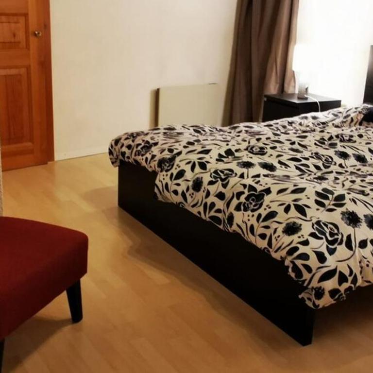 Cosy and quiet private place in Central Valais - Apartment mit 2 Schlafzimmern - 9