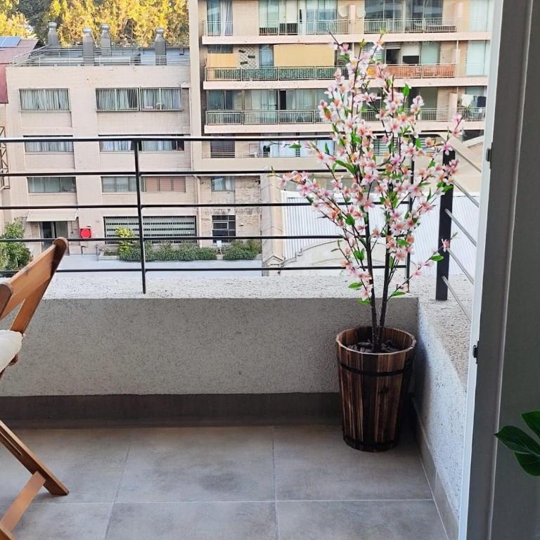 Rbk° New Studio with Terrace in Club Hípico - One-Bedroom Apartment - 9