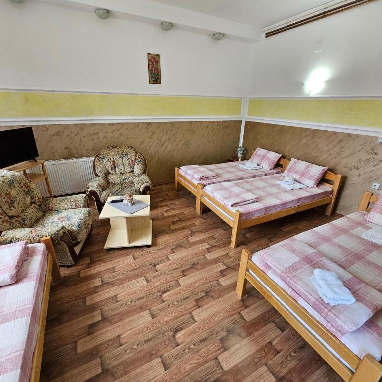 Apartments Nikolić - Apartman - Prizemlje - 4