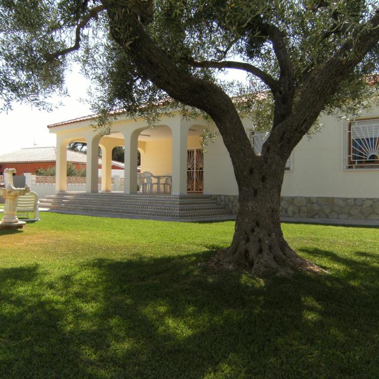 Villa Bonestar - Villa - 2