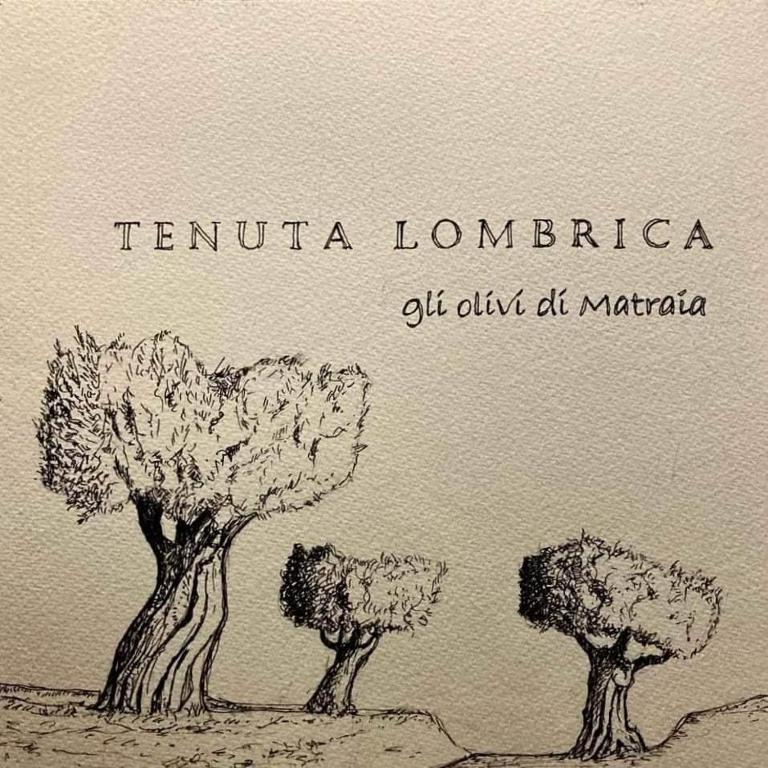 Tenuta Lombrica - Casa con 3 Camere da Letto - 7