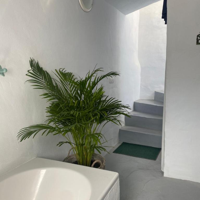 Village Town House with Sea Views and Roof Top Terrace - Casa Unifamiliar de 2 dormitorios - 22