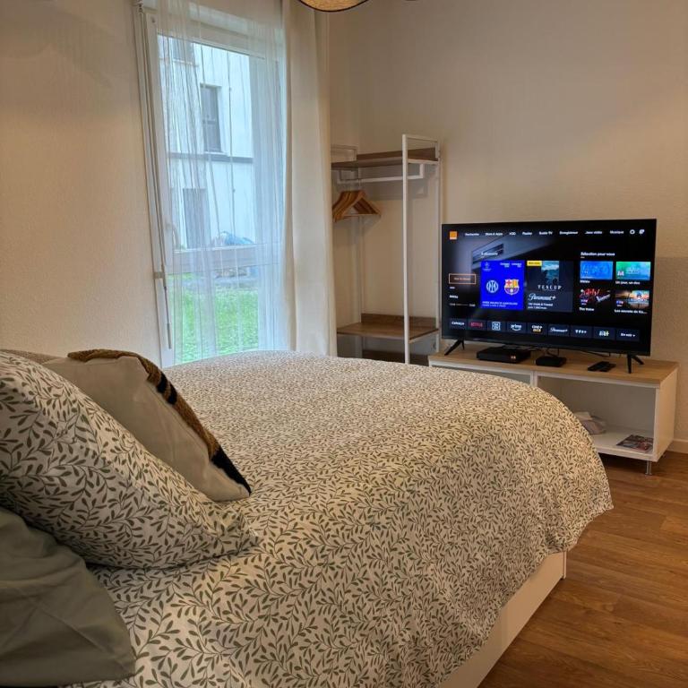 Cocon Cosy - Appartamento con 1 Camera da Letto - 3