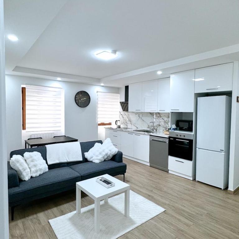 Coeur d'Albertville - Hyper Centre- Gare à 800 m - Appartement 1 Chambre - 17