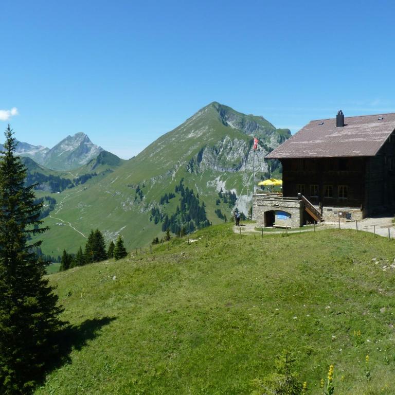 Appartement Gujan-Mestras - Appartement 2 Chambres - 5