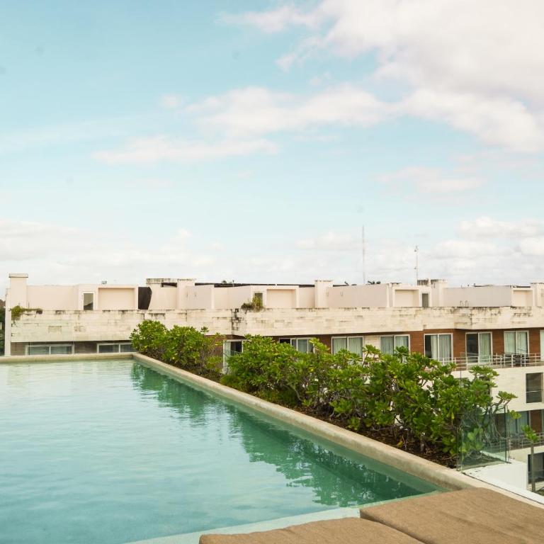 Penthouse terrace excellet WiFi Downtown - One-Bedroom Apartment - 24