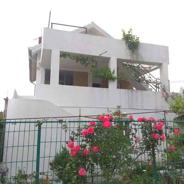 Apartments M1 Pine tree - Apartman sa 2 Spavaće Sobe - 4
