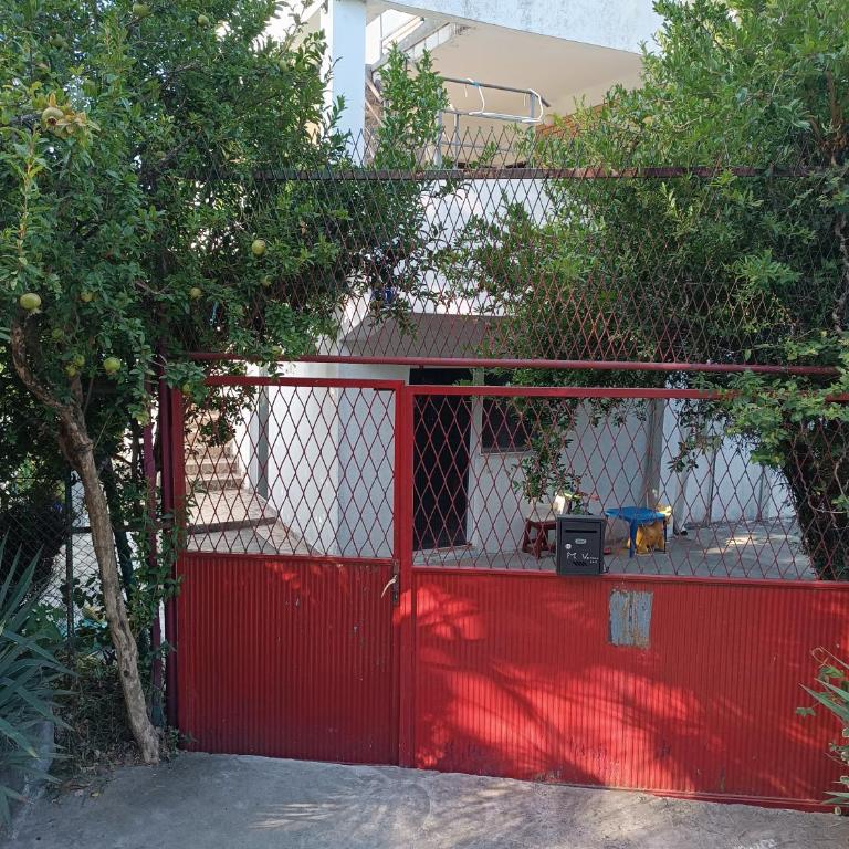 Apartments M1 Pine tree - Apartman sa 2 Spavaće Sobe - 12