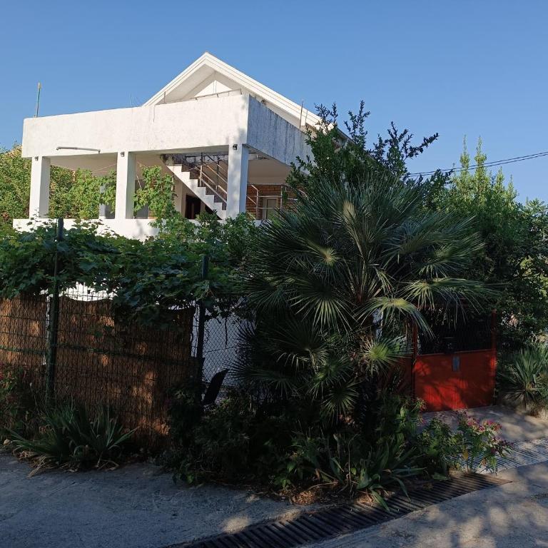 Apartments M1 Pine tree - Apartman sa 2 Spavaće Sobe - 14