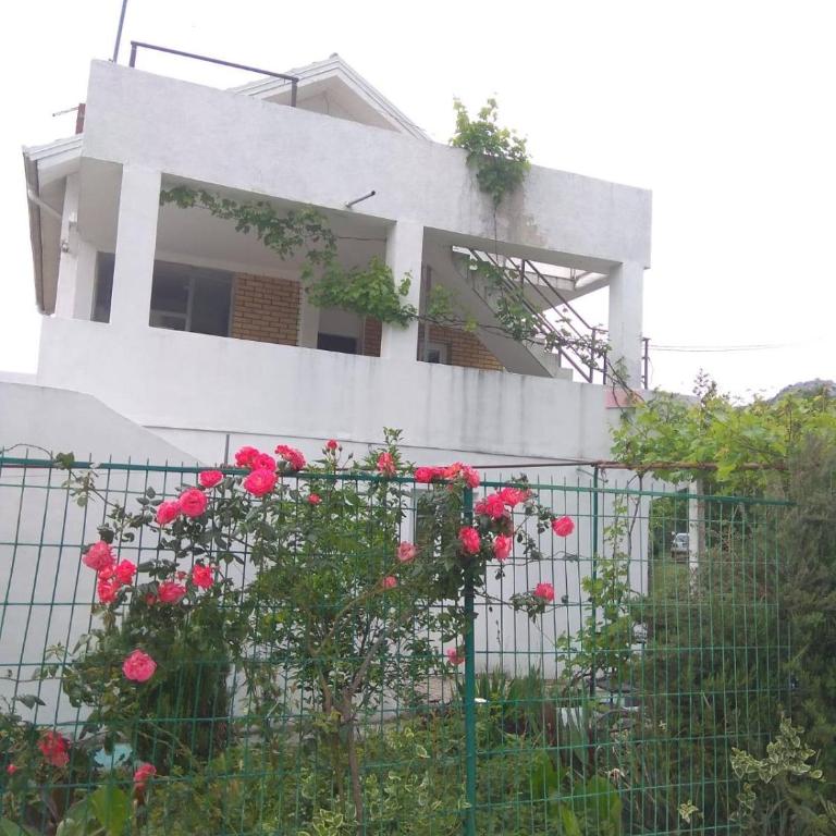 Apartments M1 Pine tree - Apartman sa 2 Spavaće Sobe - 17