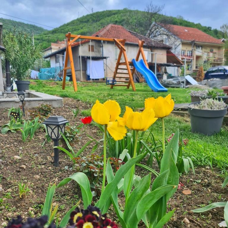 Vila Aleksandra 2 Studio 14 - Apartman sa 1 Spavaćom Sobom - 20
