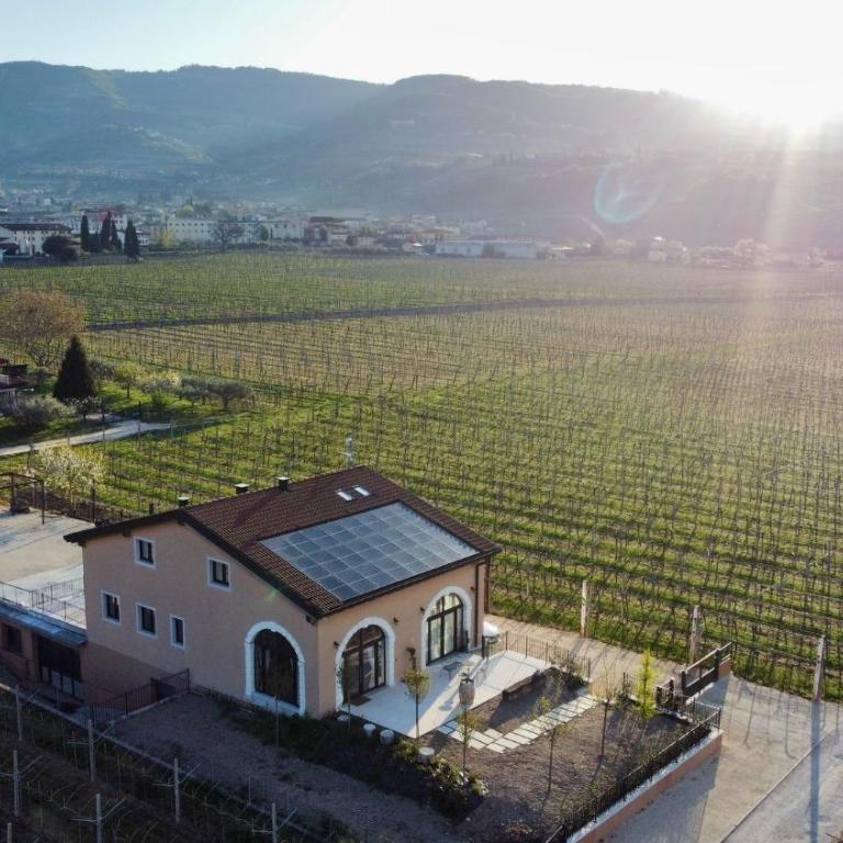 Agriturismo Igino - Camere fra Vigneti della Valpolicella - Camera Matrimoniale con Accesso Disabili - 4