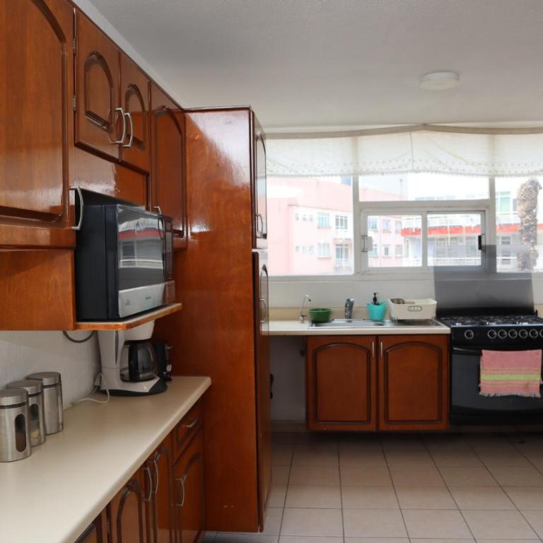 Modern Masaryk apartment 3BR in Polanco - Apartamento de 3 dormitorios - 49