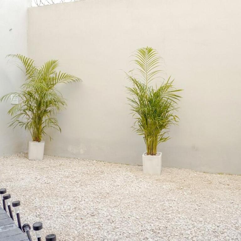 Beautiful House in Playa del Carmen - Three-Bedroom House - 50