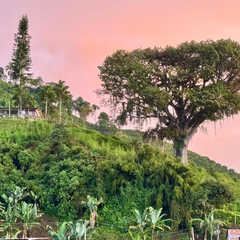 Casa Irene - Three-Bedroom House - 2