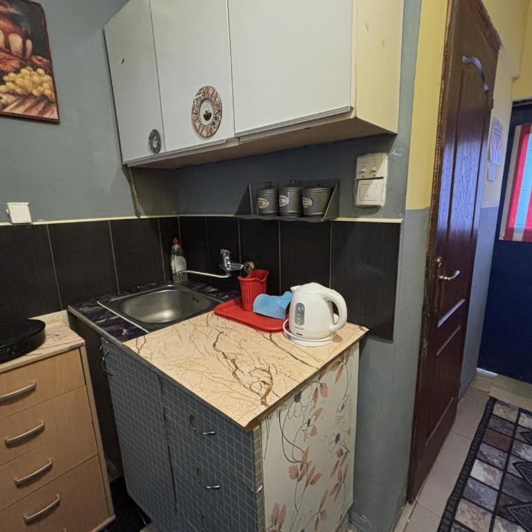 HI Youth and Business Apartments - Apartman sa 1 Spavaćom Sobom - 7