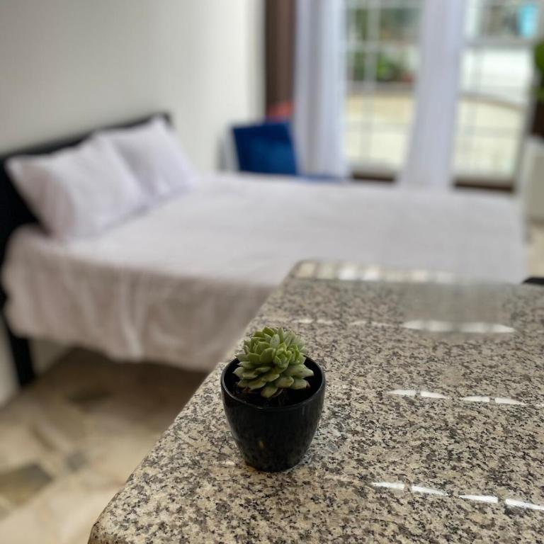 My Suite in Cuenca - Estudio Deluxe - 15