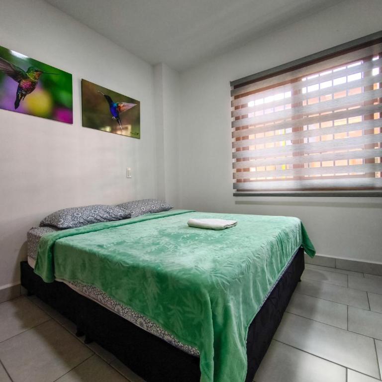 Apartamento nuevo en primer piso - Apartamento de 2 dormitorios - 8