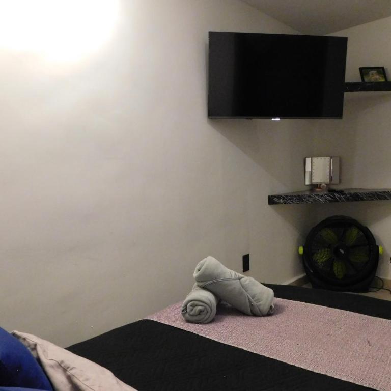 Depa privado Estadio GNP -Foro Sol-, Palacio de los Deportes - One-Bedroom Apartment - 18