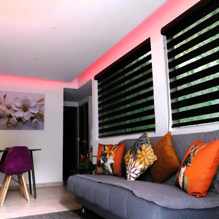 Depa privado Estadio GNP -Foro Sol-, Palacio de los Deportes - One-Bedroom Apartment - 24