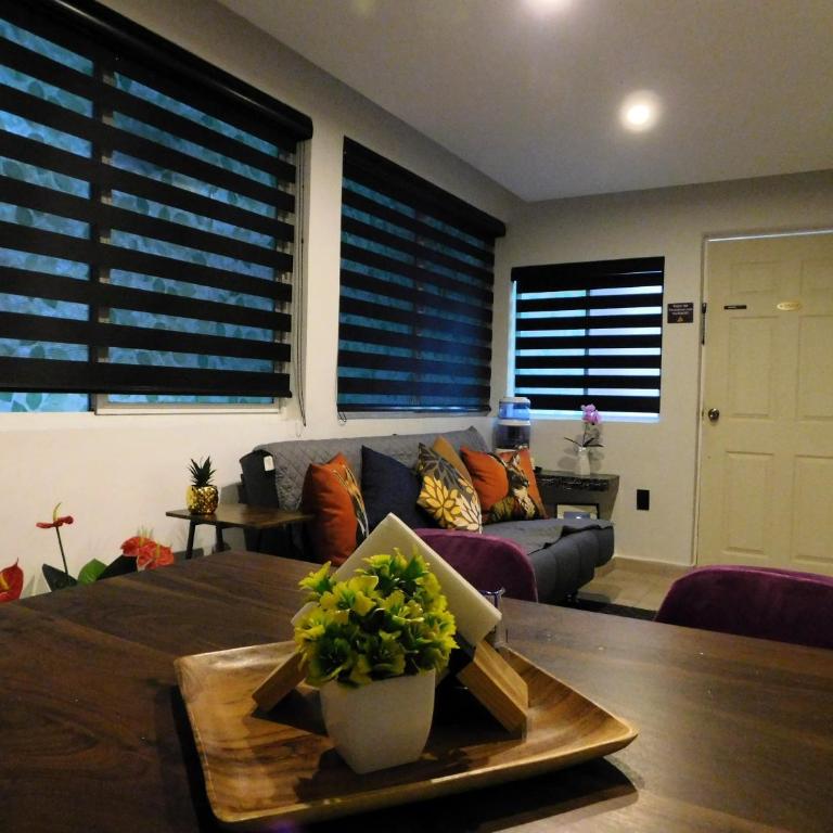 Depa privado Estadio GNP -Foro Sol-, Palacio de los Deportes - One-Bedroom Apartment - 29