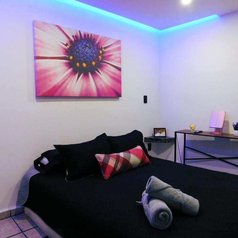Depa privado Estadio GNP -Foro Sol-, Palacio de los Deportes - One-Bedroom Apartment - 22