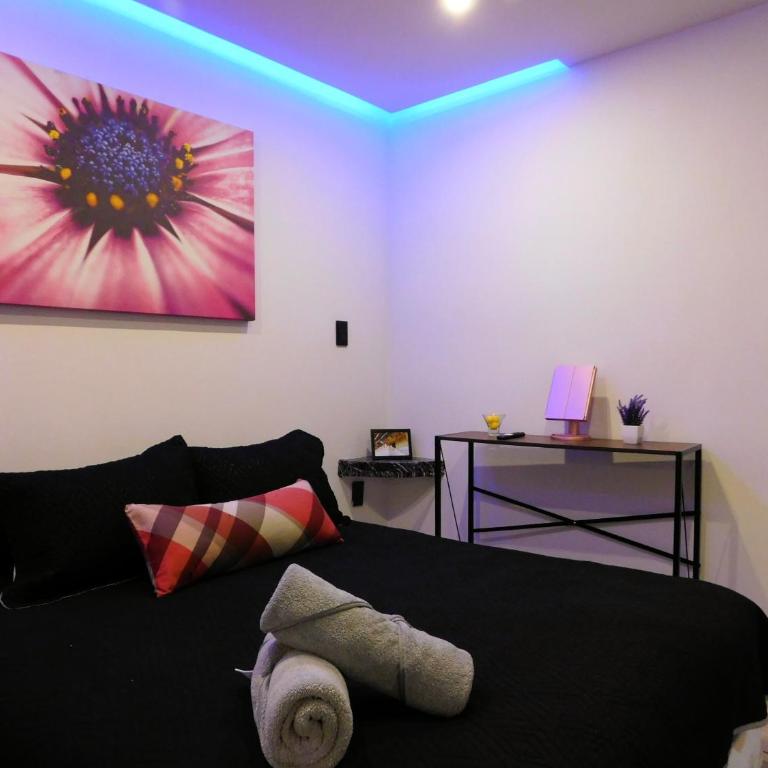 Depa privado Estadio GNP -Foro Sol-, Palacio de los Deportes - One-Bedroom Apartment - 16