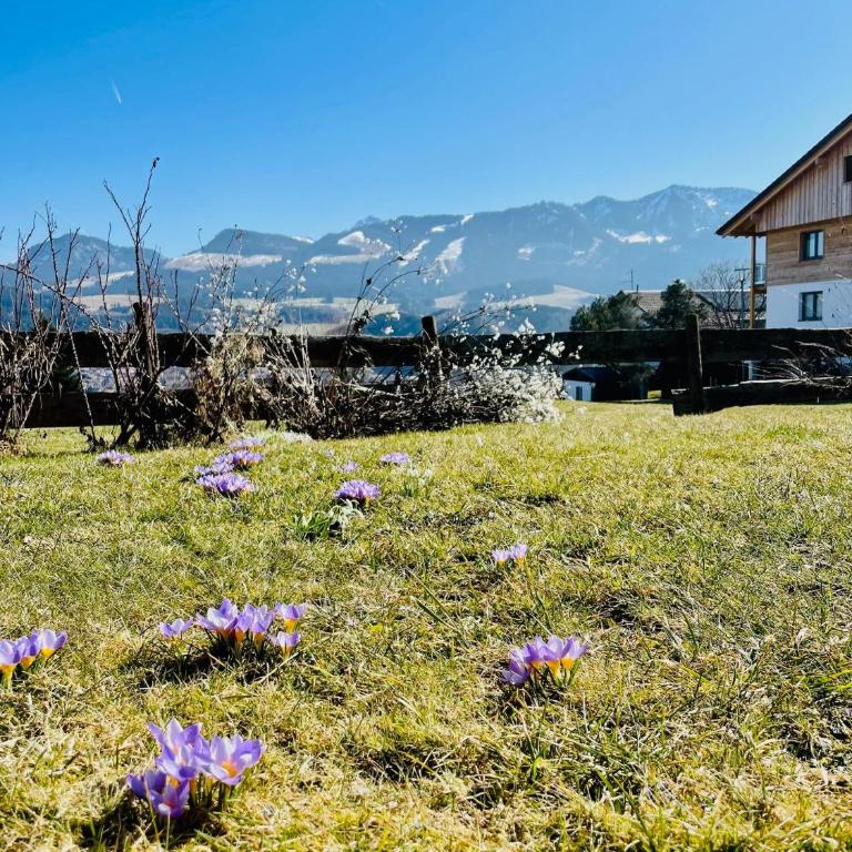 Ferienwohnung Deep Mountain - Apartment - 17