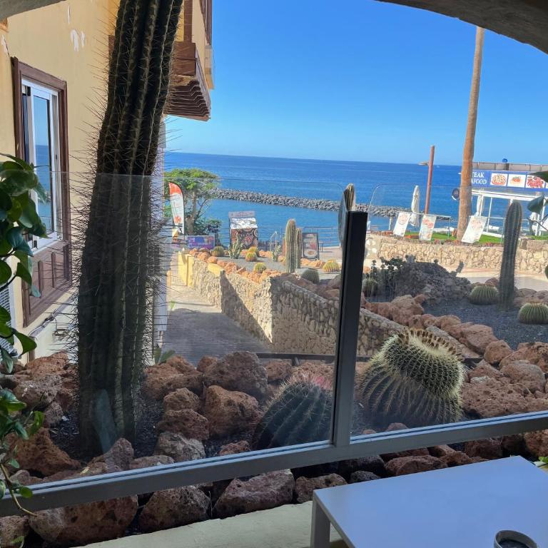 Sunny view - Apartamento de 1 dormitorio - 9