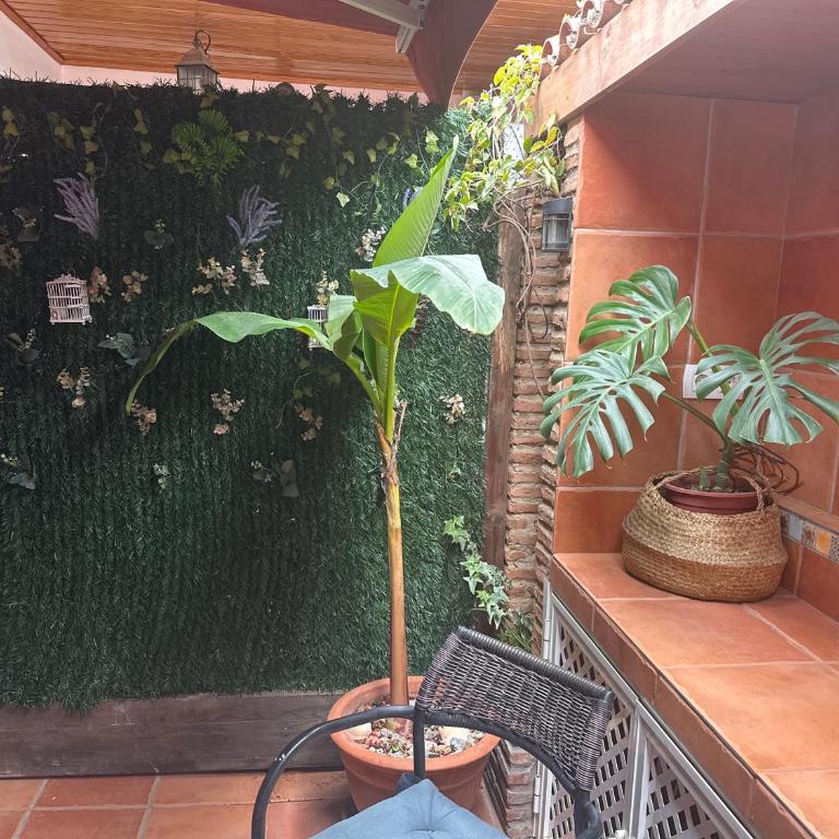 Espectacular Loft con piscina Comunitaria junto al mar Málaga - Apartamento de 1 dormitorio - 15