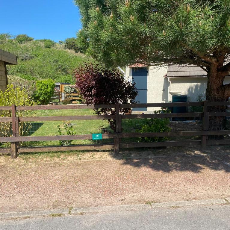 Cottage au calme dans les dunes - Maison de Vacances - 39