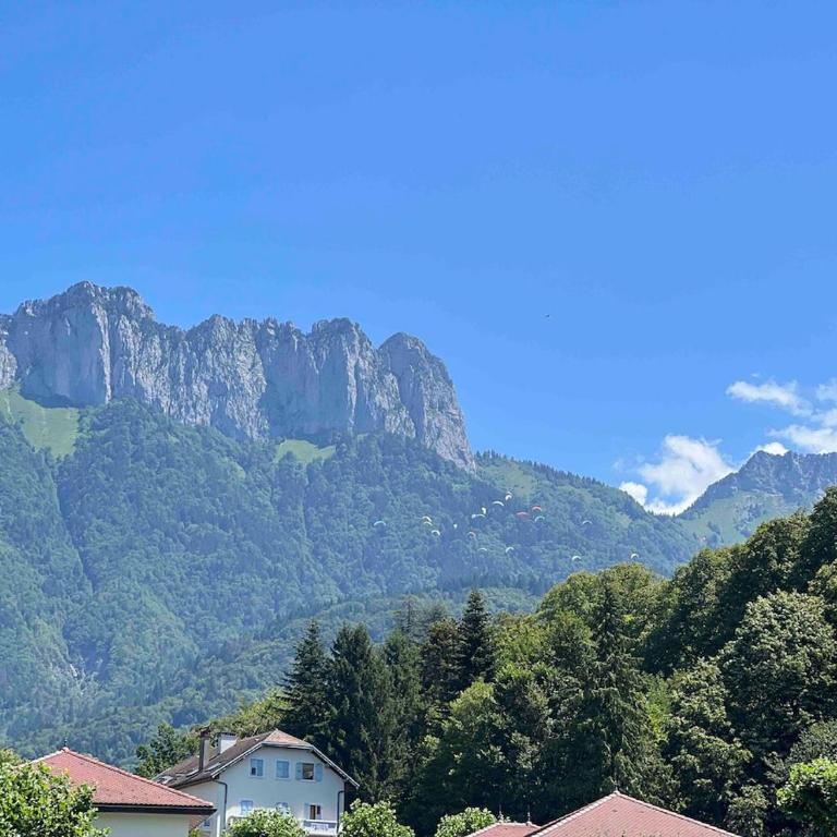 Apartment near Lake Annecy - Appartement 2 Chambres - 20