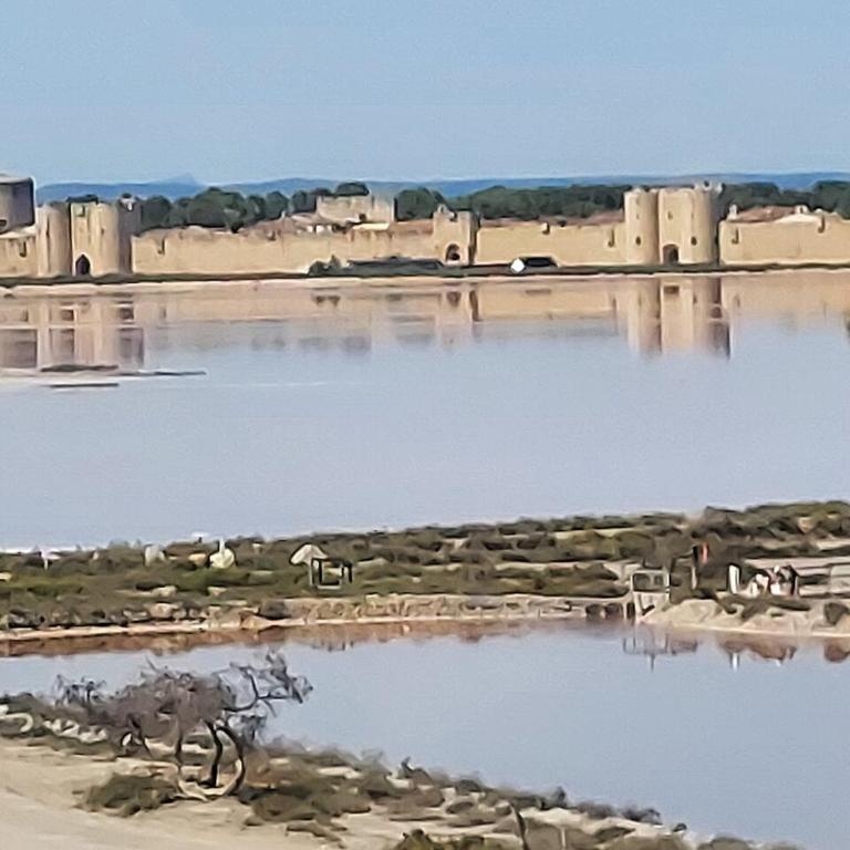 Maison Boéri proche plage à Aigues-Mortes - Casa con 3 Camere da Letto - 28