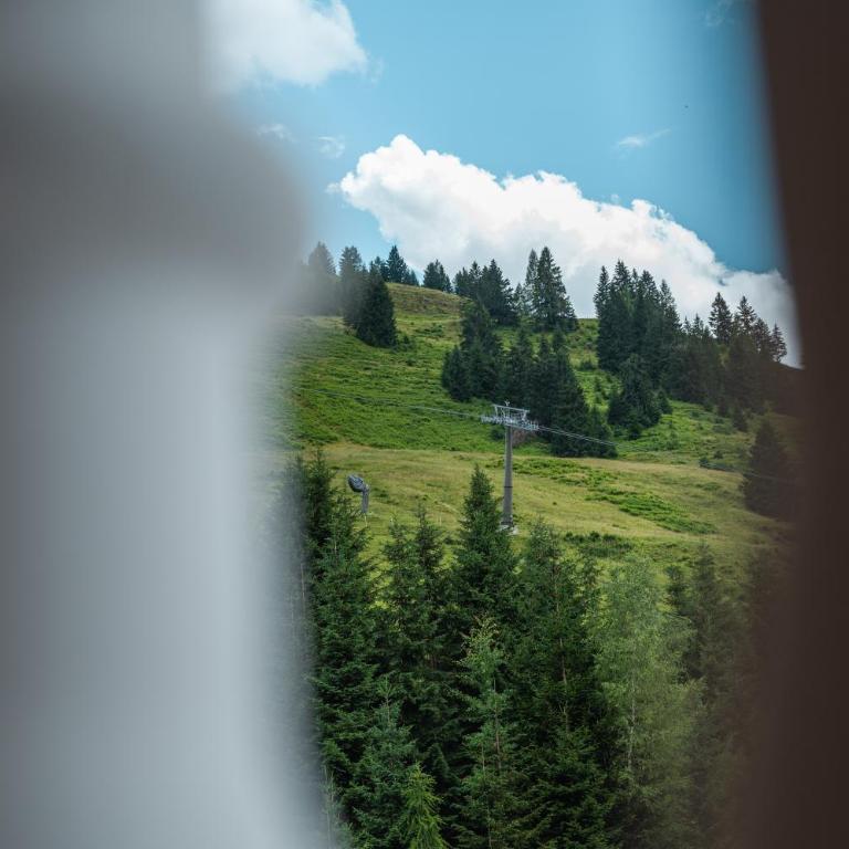Berg & SPA Hotel Urslauerhof - Junior Suite mit Balkon - 11