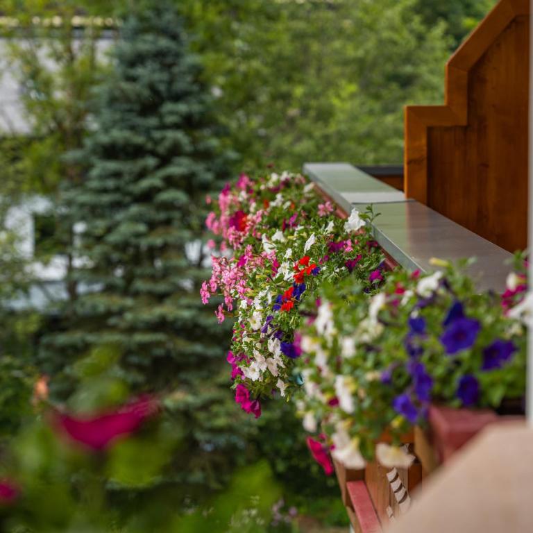 Berg & SPA Hotel Urslauerhof - Junior Suite mit Balkon - 14