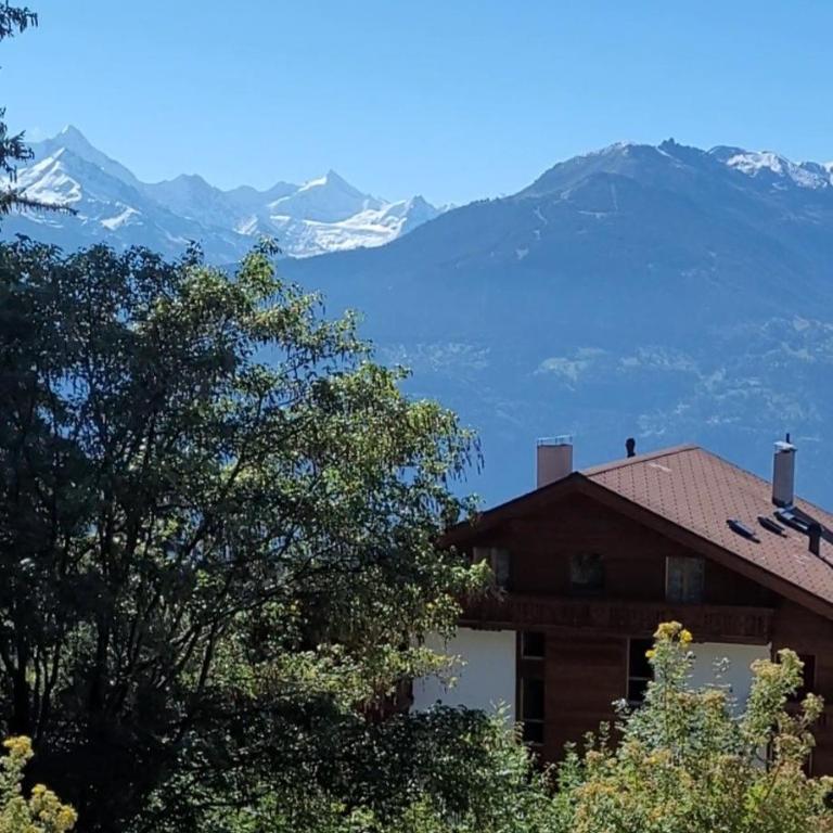 Chez Claudine et Charles - Crans-Montana - Appartement avec Vue sur la Montagne - 21