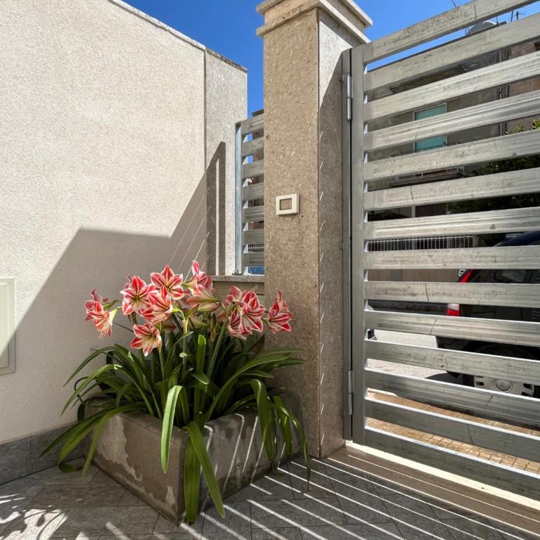 La Casa Degli Agrumi - Appartamento - 16