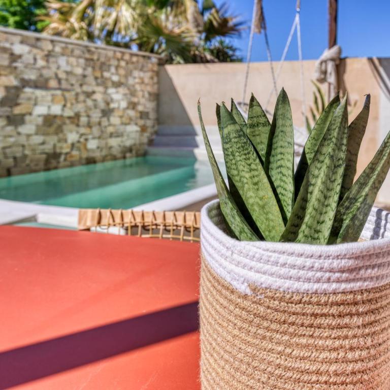 VILLA Isle sur la Sorgue - Villa con piscina privada - 8