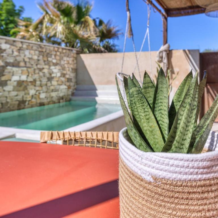 VILLA Isle sur la Sorgue - Villa con piscina privada - 7