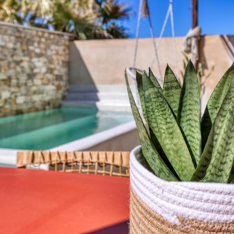 VILLA Isle sur la Sorgue - Villa con piscina privada - 23