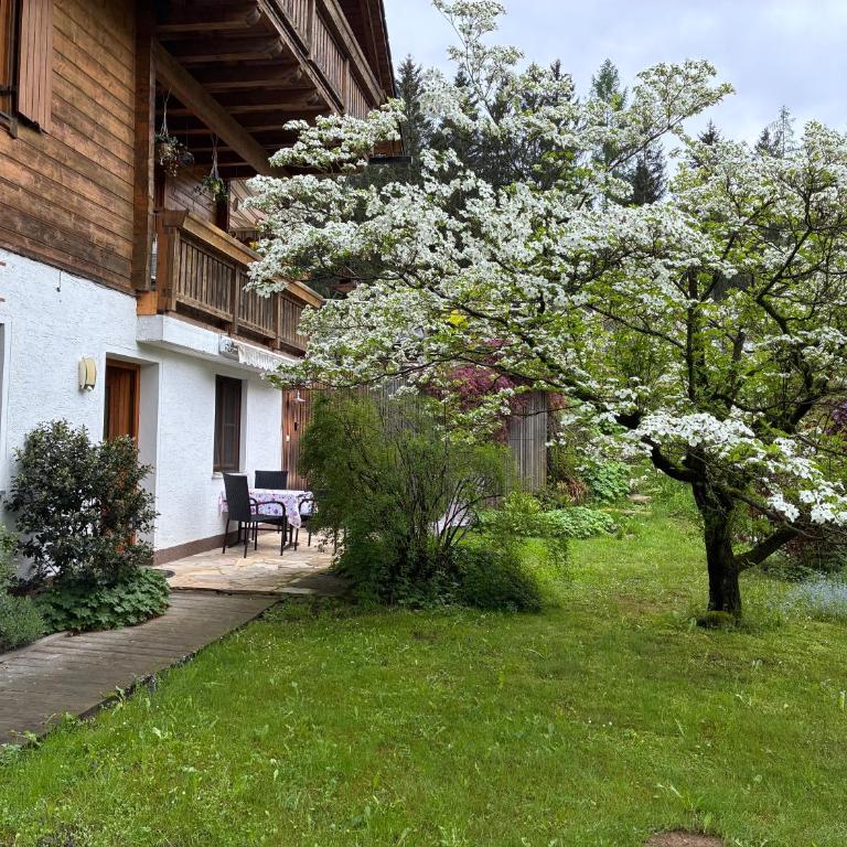 Apartment Grössenberg - Apartment mit Terrasse - 1