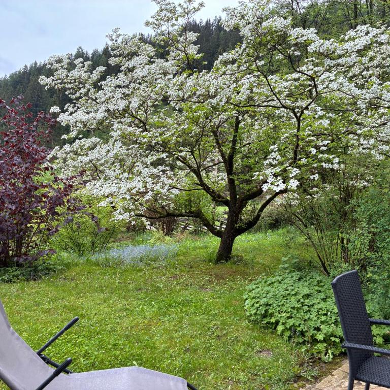 Apartment Grössenberg - Apartment mit Terrasse - 20