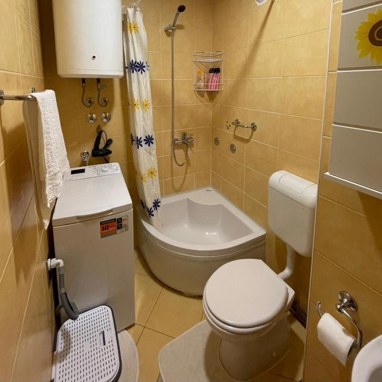 Apartment RENA - private parking - Apartman sa 1 Spavaćom Sobom - 16