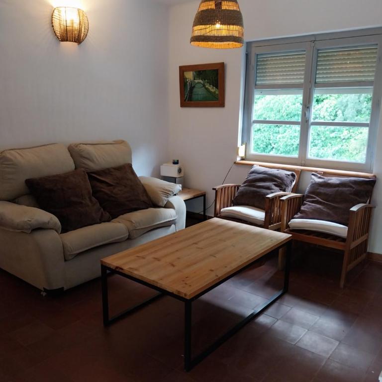 Ave Ibis eremita Vejer - Apartamento de 2 dormitorios - 10