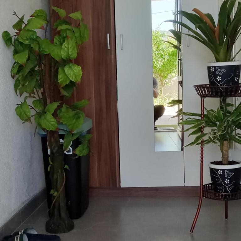Apartman Hadže - One-Bedroom Apartment - 23